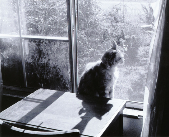 mom-won-t-let-me-go-out-1537768