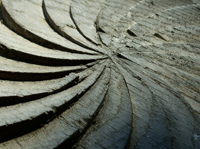 szekler-szekely-woodgate-det-1563465