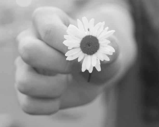 a-daisy-edited-1364660