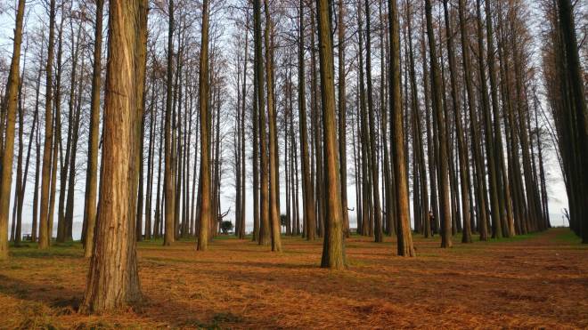 WhatsApp Image 2019-11-15 at 16.51.14.jpeg